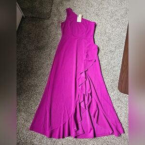 Amazon Fushia Dress